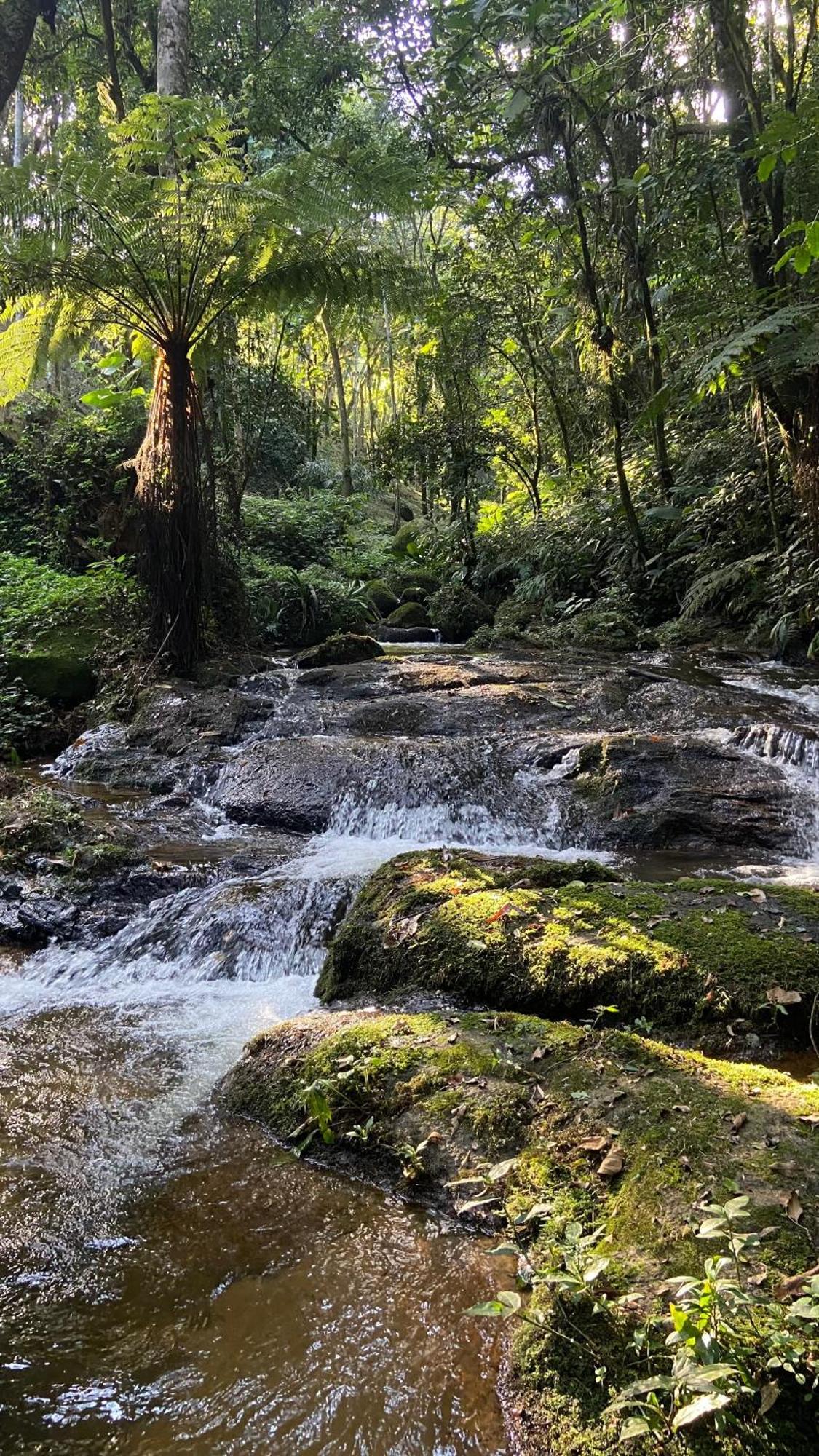 Pousada Caminhos de Gaia São Francisco Xavier Exterior foto